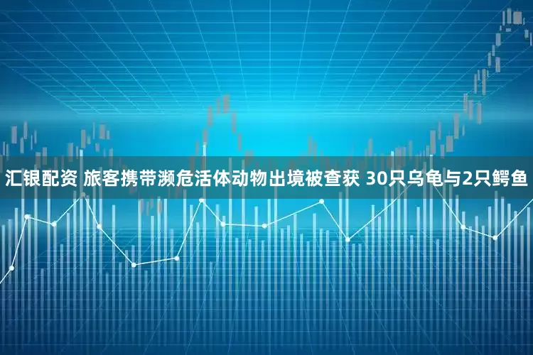 汇银配资 旅客携带濒危活体动物出境被查获 30只乌龟与2只鳄鱼