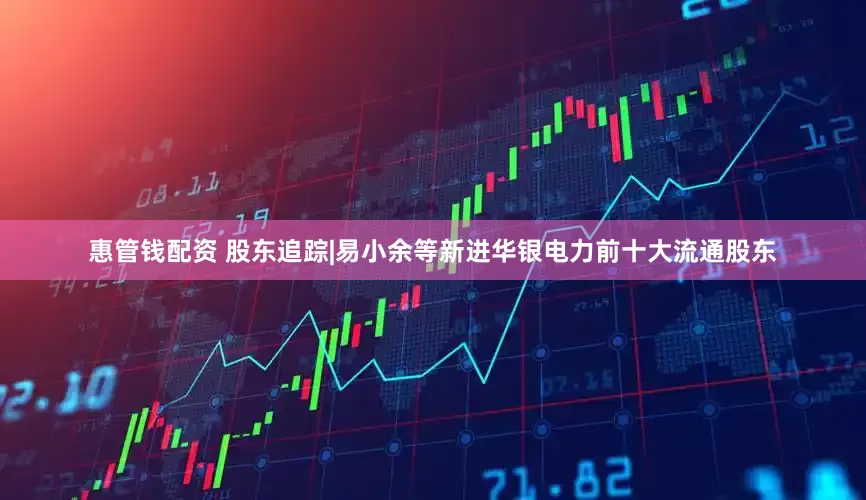 惠管钱配资 股东追踪|易小余等新进华银电力前十大流通股东